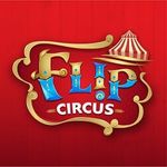 Flip Circus discount code